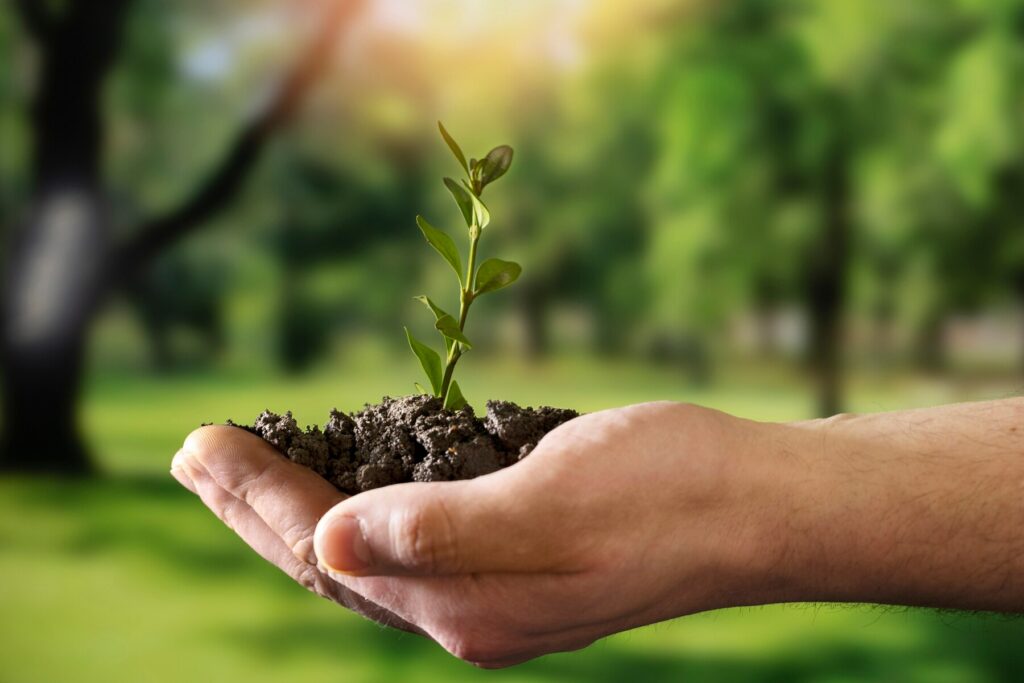 biogas